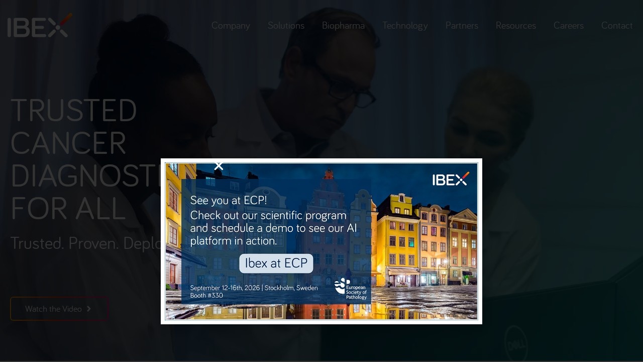 Ibex AI Com screenshot